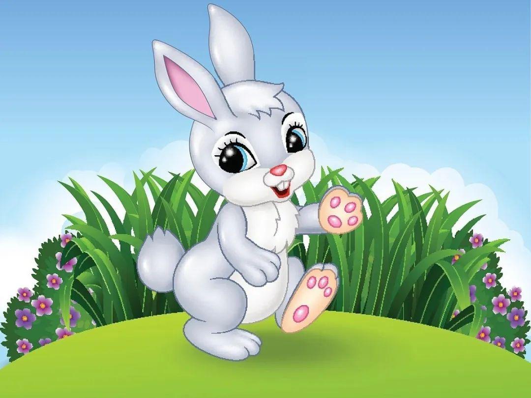 小白兔冷笑话:小白兔冷笑话大全