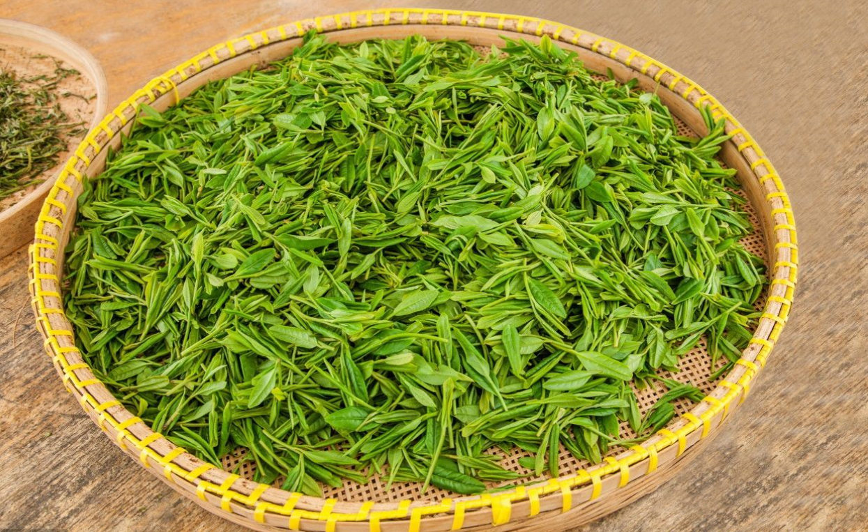 龙井茶属于什么茶