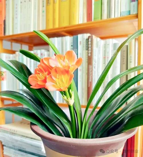 愿好运常伴左右的句子_旅行结束后用什么结束语较经典