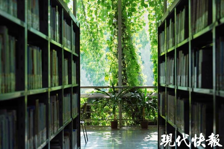 沙溢与胡可 沙溢与胡可参加鲁豫节目