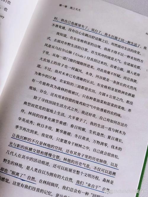 赵丽颖冯绍峰婚礼办了吗