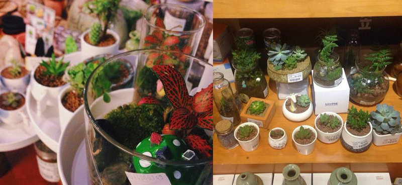 兄弟背叛的句子