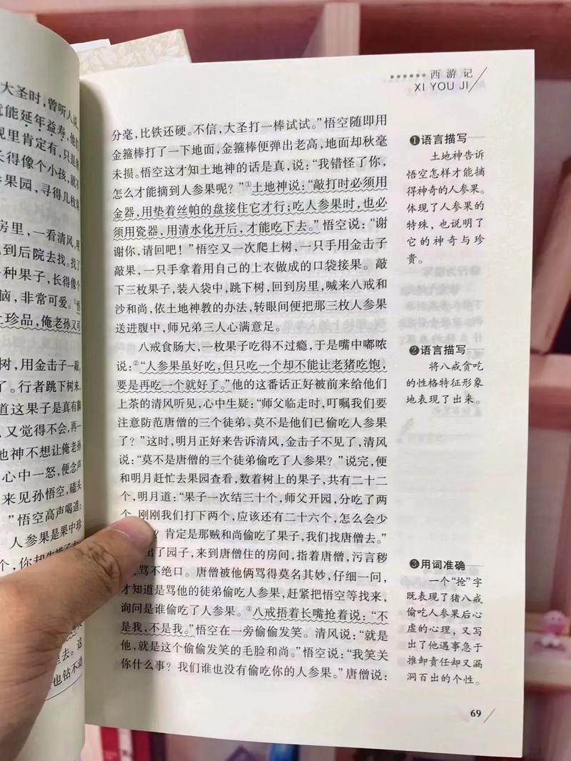 被自己感动作文 被自己感动作文