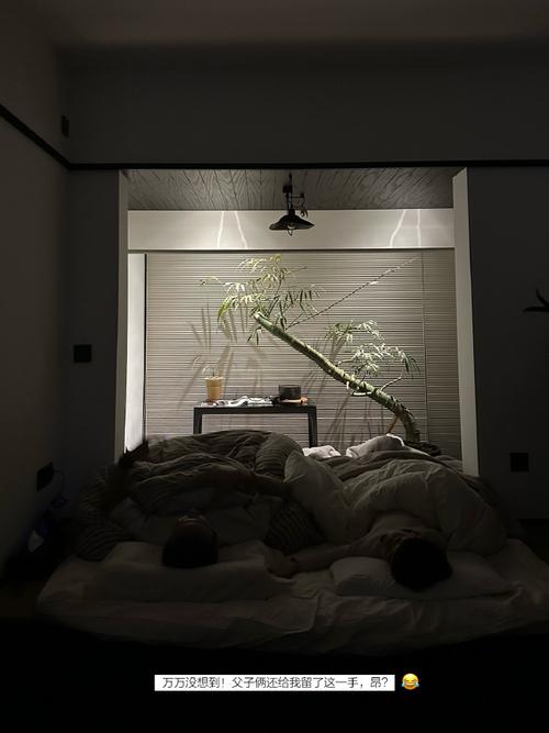 聚会游戏大全 聚会游戏大全破解版