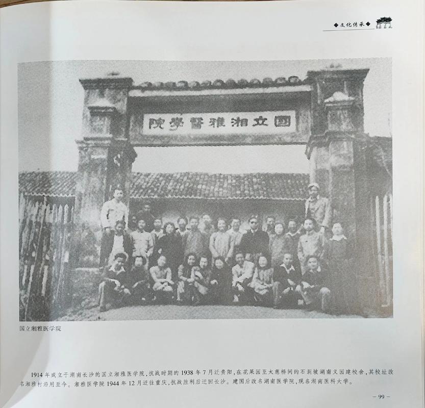 四驱兄弟国语 四驱兄弟国语版百度云 四驱兄弟国语 四驱兄弟国语版百度云