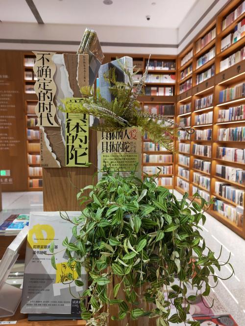 大s又结婚了吗 大s啥时候结婚的