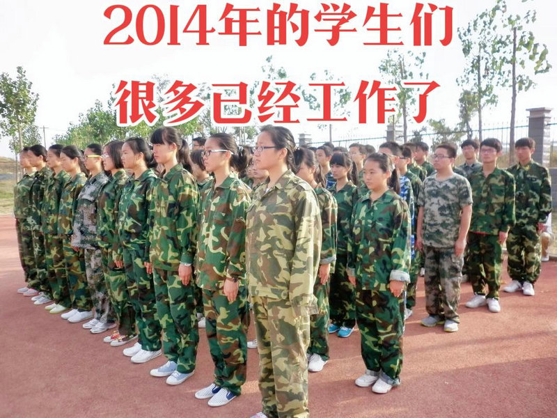 树精的传说之前传