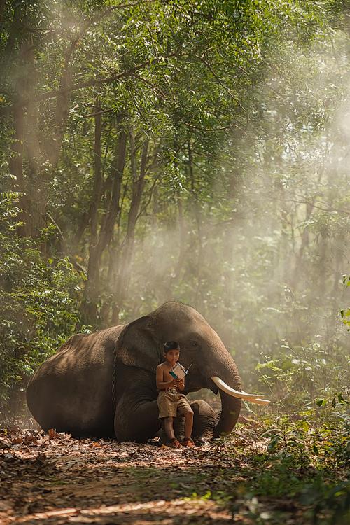 一个人,幼年丧母,会给他带来了多大的伤害 一个人,幼年丧母,会给他带来了多大的伤害