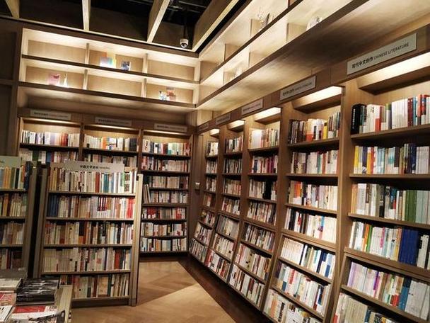 电视剧x女特工 电视剧x女特工免费全集在线观看