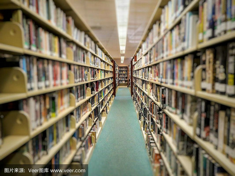 一百条裙子好词好句赏析