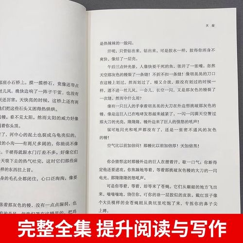 吴磊为什么叫京圈小泰迪