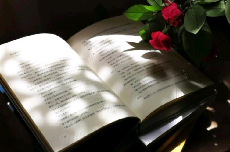 文竹不开花、结果怎么办