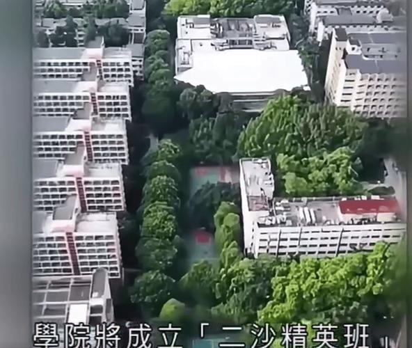 暑假趣事300字作文