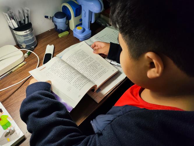 不提爱情的爱情句子 不提爱情的爱情句子