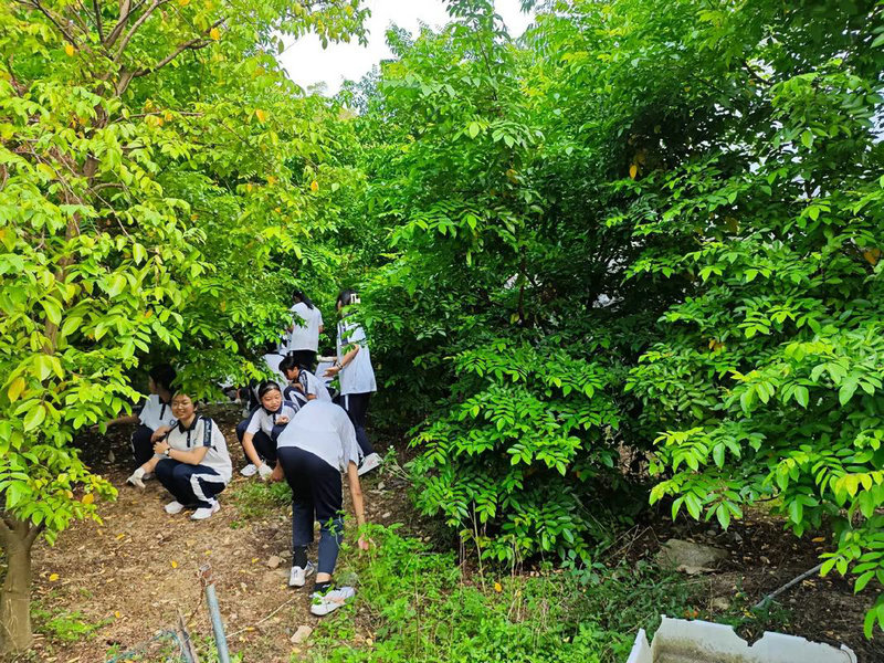 米奇妙妙屋第3季 米奇妙妙屋第3季中文版