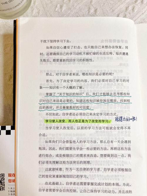 古代描写将军的句子有哪些,将军心情愉悦的句子