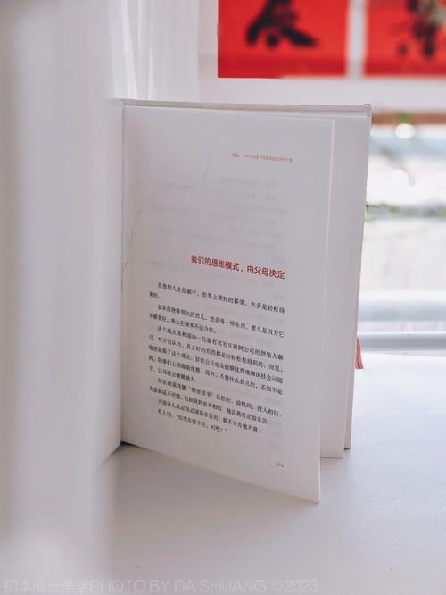 十兄弟释小龙 十兄弟释小龙大结局