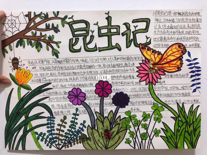 我的青铜时代 我的青铜第一季免费观看